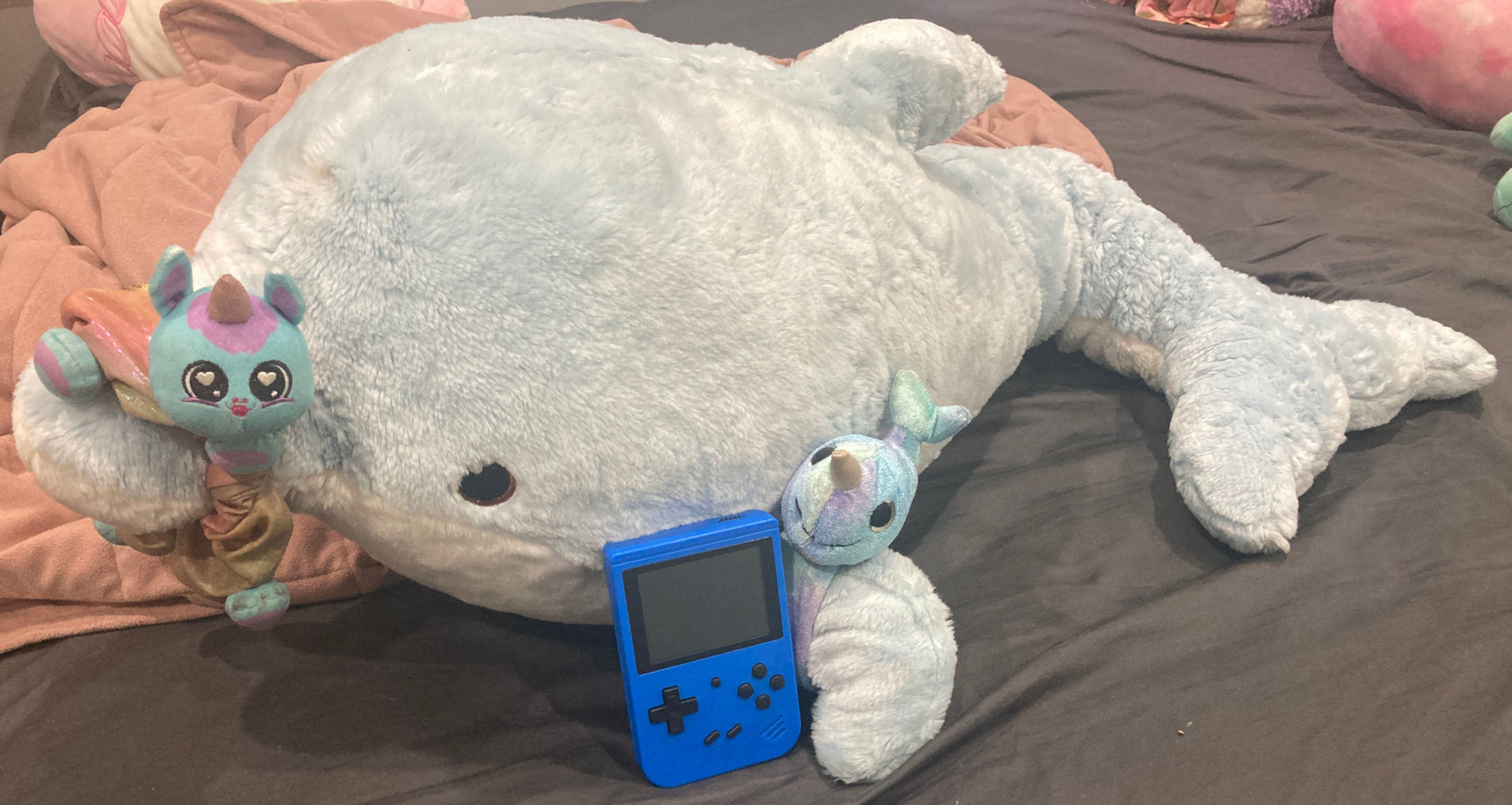 Blue dolphin plushy. Blue scrunchy on nose, baby dolphin wristband on fin. Blue handheld.