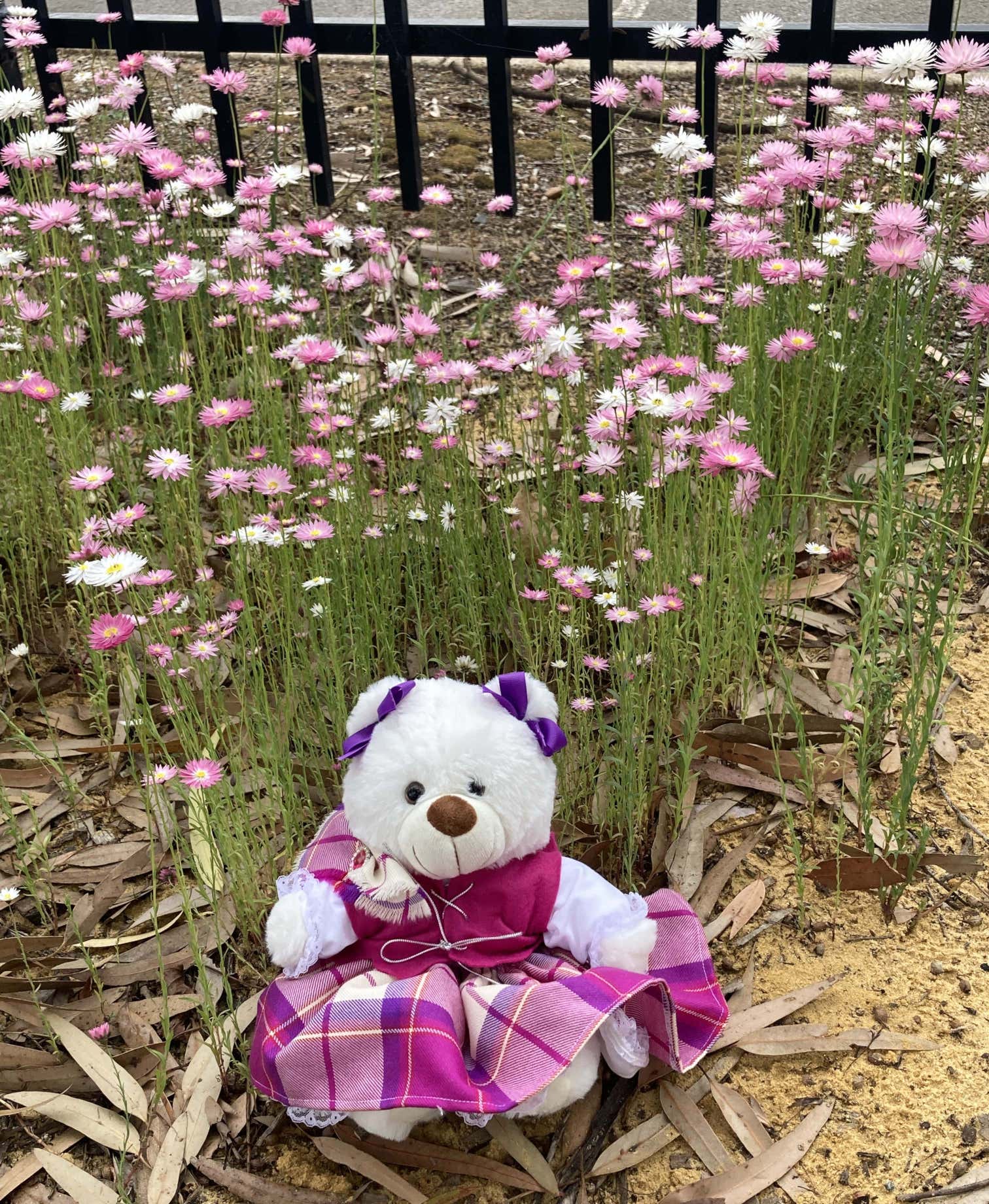 White Teddybear wearing pink/purple dress surrounded by pink and white flowers