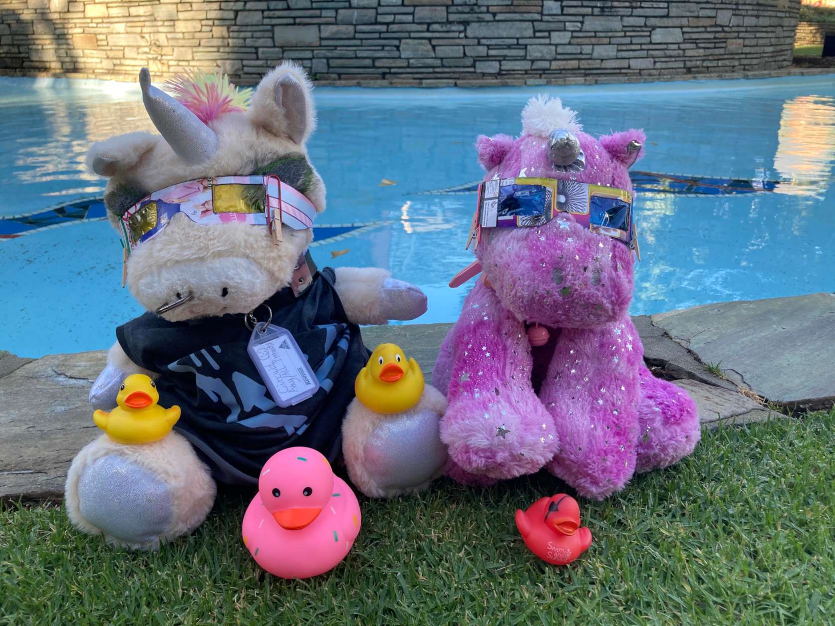 Goth and pink unicorn stuffies, stylish glasses. 4 duckies, 1 pink, 1 red, 2 yellow. Water feature.