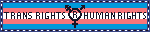 Blinker saying Trans Rights R human rights with transgender flag colors