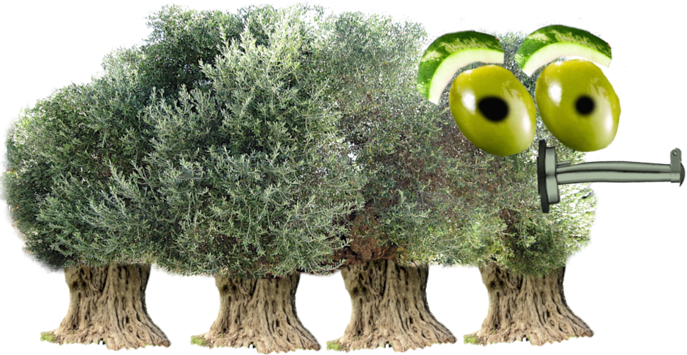 Olive tree caricature with stump legs, olive eyes, watermelon brows, olive oil lid nose.