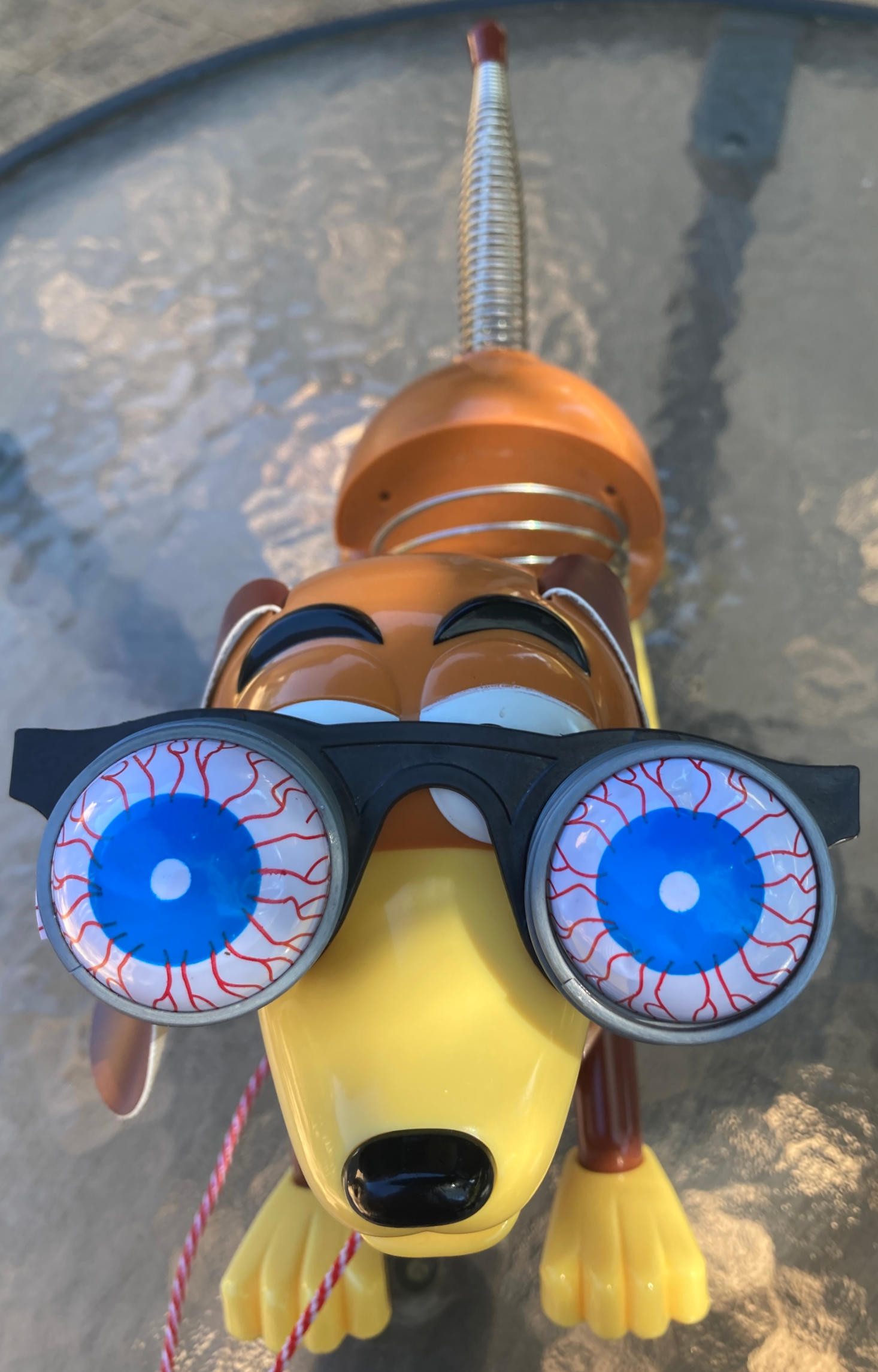 Slinky Dog wearing slinky goggles.